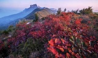 环翠峪风景区