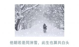 他朝若是同淋雪是谁的诗