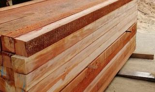 木材科学与工程专业
