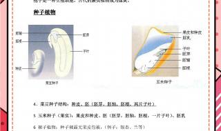 七年级上册生物期末