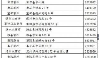 河北农村信用社招聘