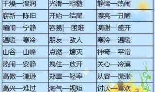 罕见的反义词是什么