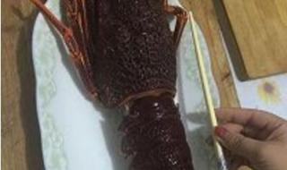 清蒸澳洲龙虾的做法