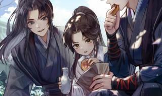 二哈与他的白猫师尊