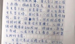 我的老师作文200字